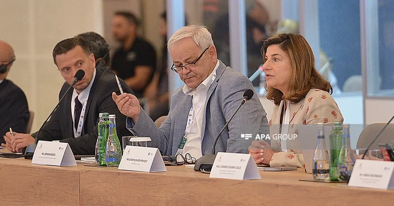 ICMP: совместная база данных Азербайджана и Армении станет важным шагом к сотрудничеству