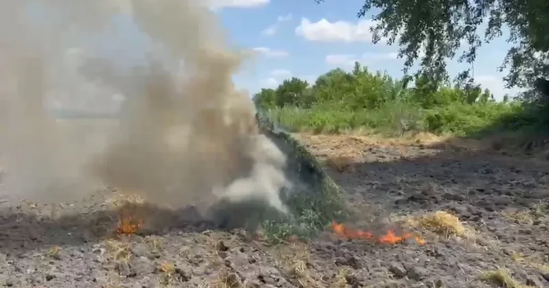 Более 2 тонн наркотиков уничтожено в Азербайджане