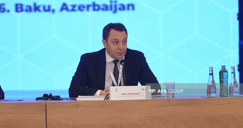 Nazir müavini: Azərbaycan itkinlərlə bağlı təşəbbüs və layihələri dəstəkləyib, proses bundan sonra da davam edəcək