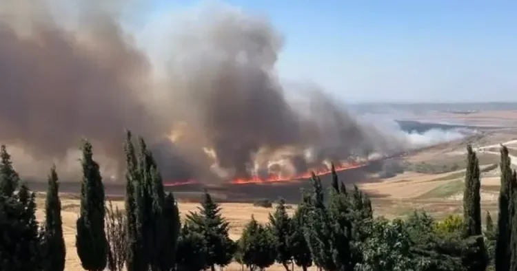 İstanbulda tarlada güclü yanğın başladı FOTO