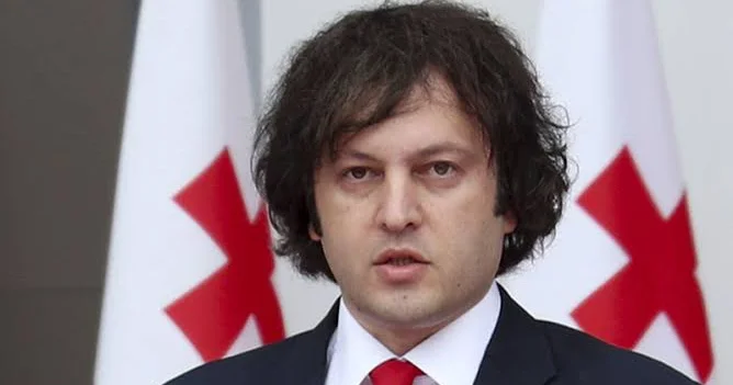 Kobaxidze Almaniya səfirini iki ölkə münasibətlərini korlamaqda günahlandırdı