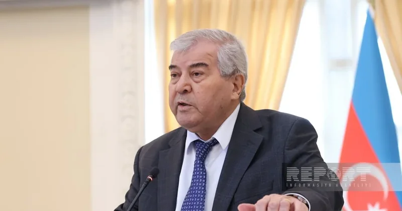 Сабир Рустамханлы выступил за показ фильмов тюркских стран без дубляжа