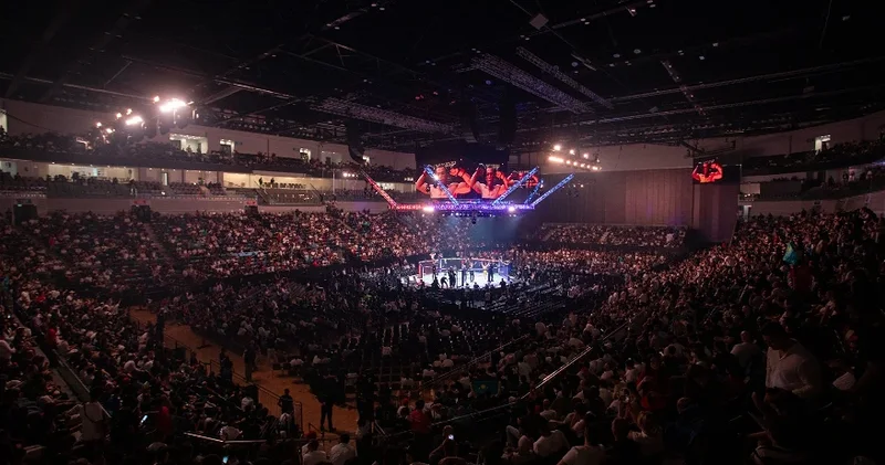 Бакинский вечер UFC собрал болельщиков из 72 х стран