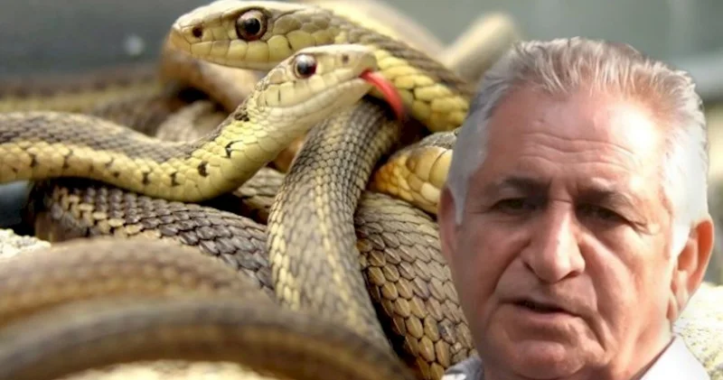 Ölkədə güclü ilan hücumu başladı ƏHALİYƏ XƏBƏRDARLIQ: “Bu səhvi ƏSLA ETMƏYİN”