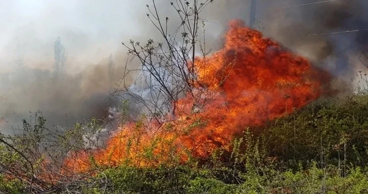 В Шеки более 8 часов не могут потушить пожар