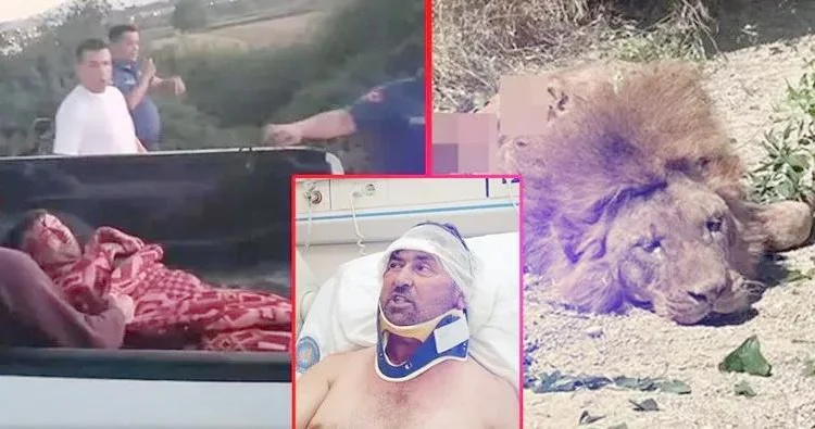 Aslan 53 yaşlı kişiyə hücum etdi: Hələ də yuxularıma girir