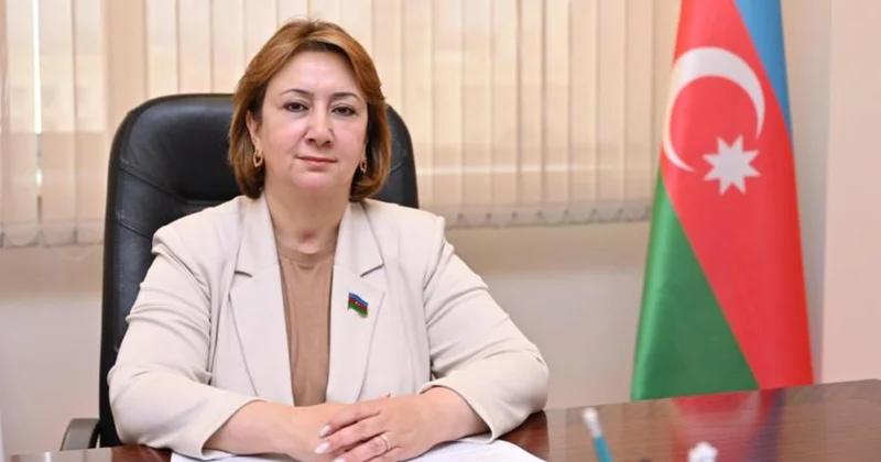 Vicdanın səsi Mehriban Vəliyeva yazır