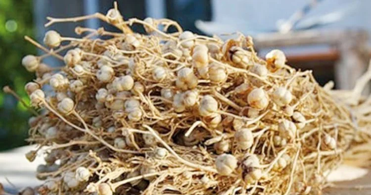 Üzərliklə bağlı əhaliyə TƏCİLİ XƏBƏRDARLIQ: Qəti şəkildə… KONKRET