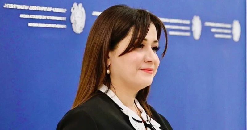 Nikol Paşinyanın mətbuat katibi istefa verdi
