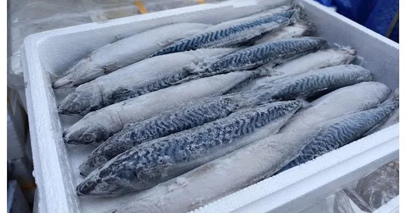 Çindən Azərbaycana 5 manata skumbriya gətirilir Ölkələrin siyahısı