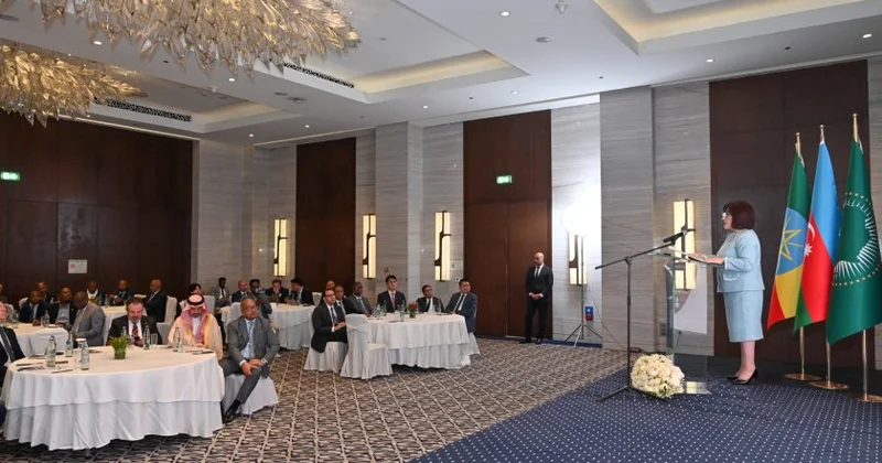 Sahibə Qafarova Efiopiyaya rəsmi səfəri çərçivəsində bir sıra ölkələrin səfirləri ilə görüşüb