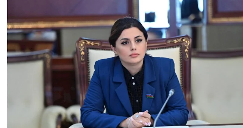 Görürən odur ki, Rusiya azərbaycanlı məşhurları “qara siyahı”ya salıb Deputat