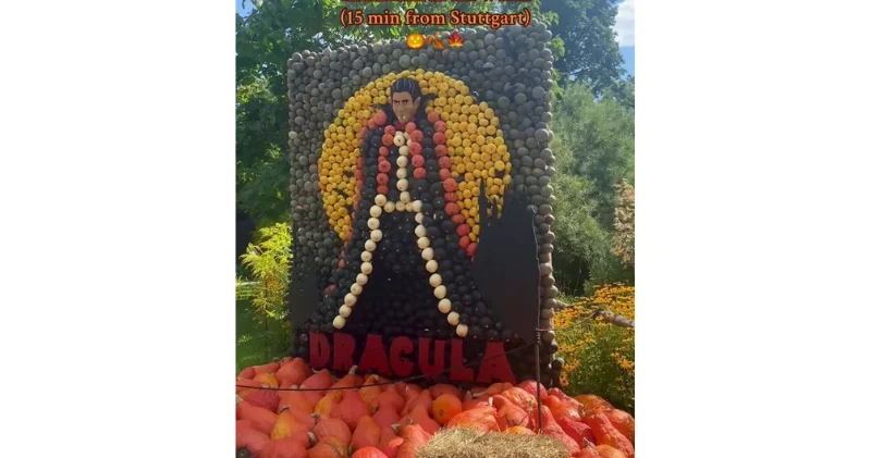 Крупнейшая в мире выставка тыкв в Германии ВИДЕО