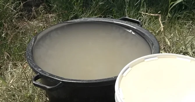 Sabirabad sakinləri içməli suya həsrət qalıblar