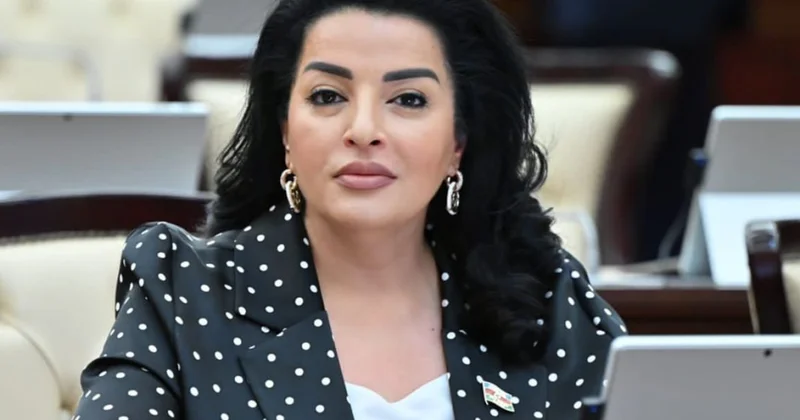 Dövlət başçısının səsləndirdiyi fikirlər bir daha göstərir ki, Azərbaycan artıq Cənubi Qafqaz regionunda aparıcı güc mərkəzinə çevrilib ŞƏRH