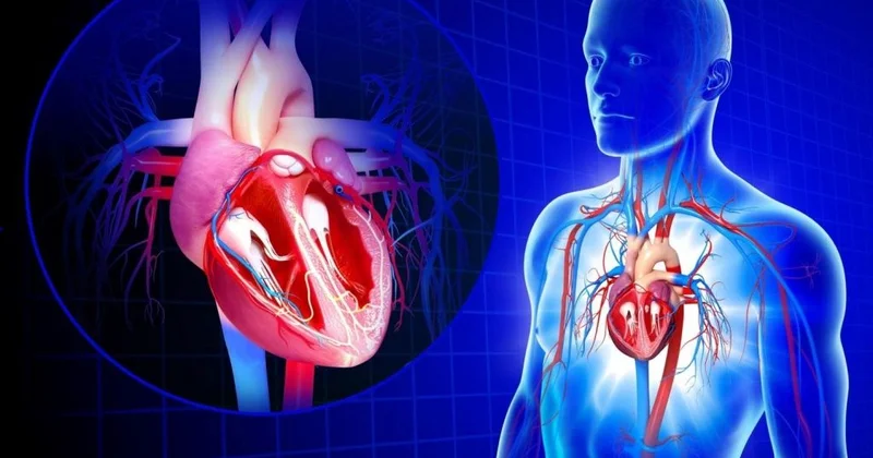 Ürəyi qorumaq üçün 7 11 4 qaydası Sınayın
