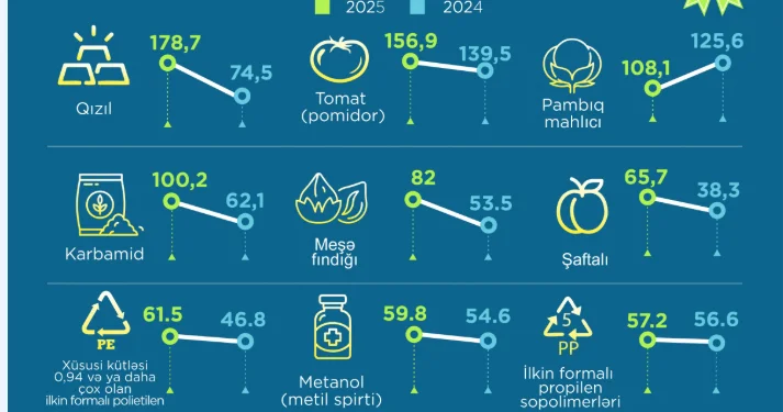 Qeyri neft ixracında yüksək artım