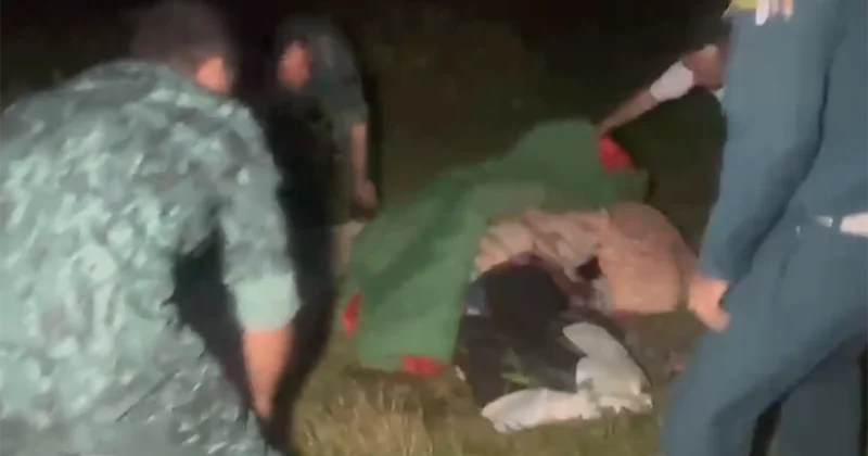 Niderlandlı qadına Şəkidə itlər hücum etdi Belə xilas olundu+Video