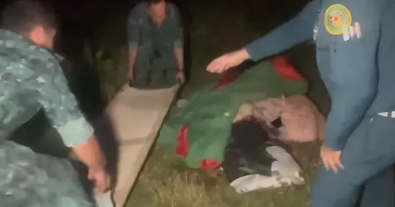 Şəkidə itlər Niderland vətəndaşına hücum etdi Təcili əməliyyat olundu VİDEO