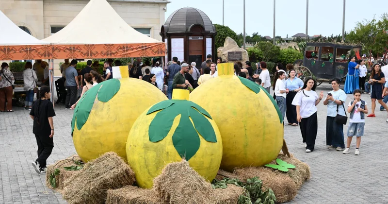 Qala Əncir Festivalı: dad, ənənə və sənət bir arada