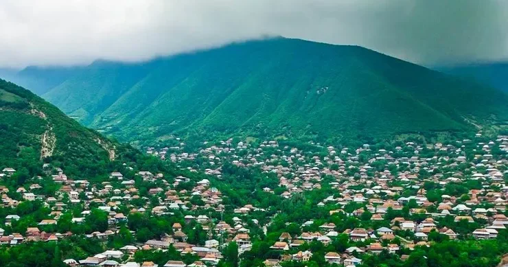Şəkidə dağa qalxan xarici turisti itlər parçaladı VİDEO