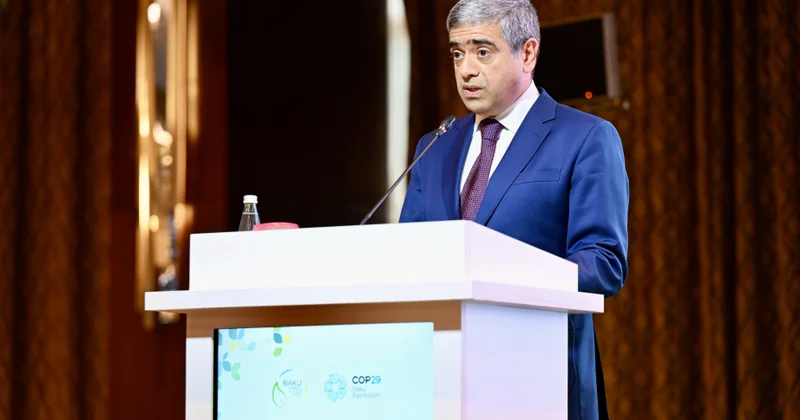 Anar Əliyev: Son illərdə 7 min nəfər özünüməşğulluq proqramına cəlb edilib