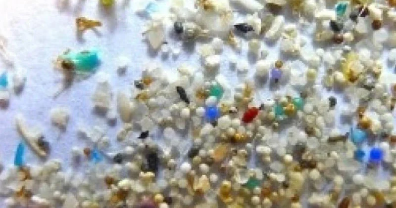 Mikroplastiklər həzm sistemi vasitəsilə qana qarışır, sümüklərdə yığılır həyəcan təbili