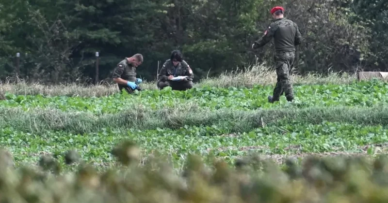 В Польше нашли еще один обломок беспилотника