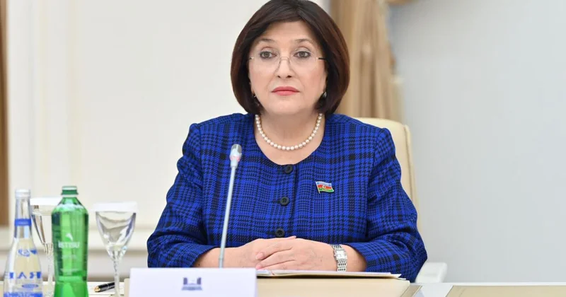 Prezident İlham Əliyevin Cənubi Qafqazdakı reallıqları BMT tribunasından təqdim etməsi xüsusi əhəmiyyətə malikdir Sahibə Qafarova