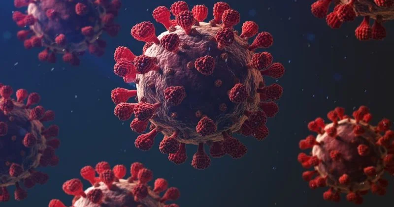 COVID 19 və Grip A epidemiyası: Sevilyada 4 nəfər həyatını itirib