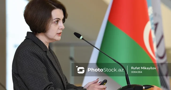 Рена Гумбатова: Энергоаудит домохозяйств ключ к энергоэффективности Азербайджана