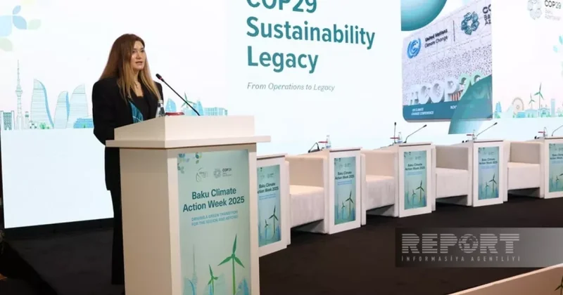 Джарчалова: Опубликован отчет об устойчивом развитии COP29