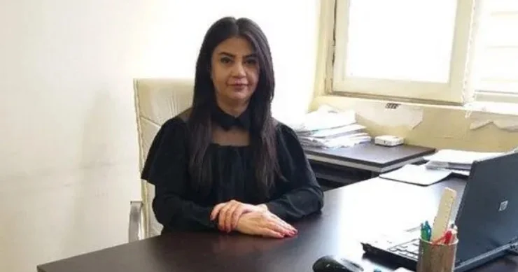 Alternativ gəlir mənbələrinin yaradılması vacibdir İqtisadçı