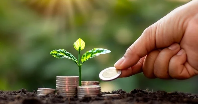 Yaşıl iqtisadiyyata keçid üçün özəl sektorun dəstəyinə ehtiyac var Millət vəkili