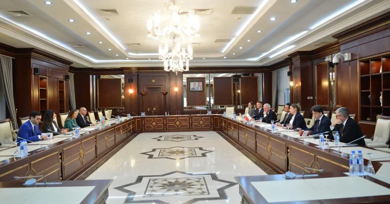 Polşa parlament nümayəndə heyəti ilə görüş olub