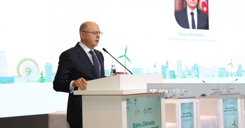 Nazir yaşıl enerji dəhlizlərinə dair əsas prioritetləri açıqlayıb