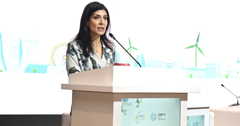Nigar Arpadarai: Regional əməkdaşlıq ədalətli və dayanıqlı yaşıl enerji keçidinin əsas şərtidir