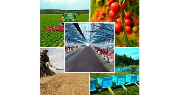 “Torpaq monitorinqi və inventarizasiya təkmilləşdirilməli, fermerlər innovasiyaya çıxmalıdır” EKSPERT DANIŞDI