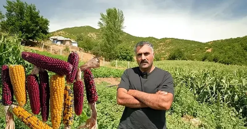 Moskvadan kəndə qayıtdı, 100 illik ata toxumu tapdı
