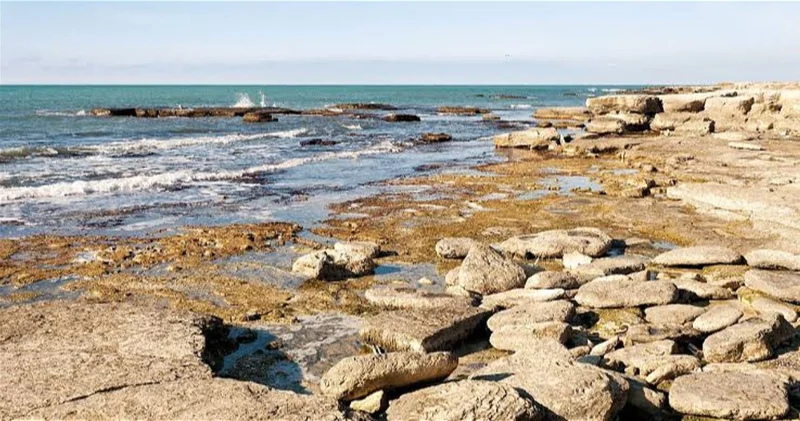 В Каспийском море продолжается резкое падение уровня воды ВИДЕО