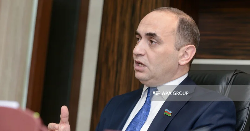 Ceyhun Məmmədov: Azərbaycanda ailə institutu sıradan çıxa bilər