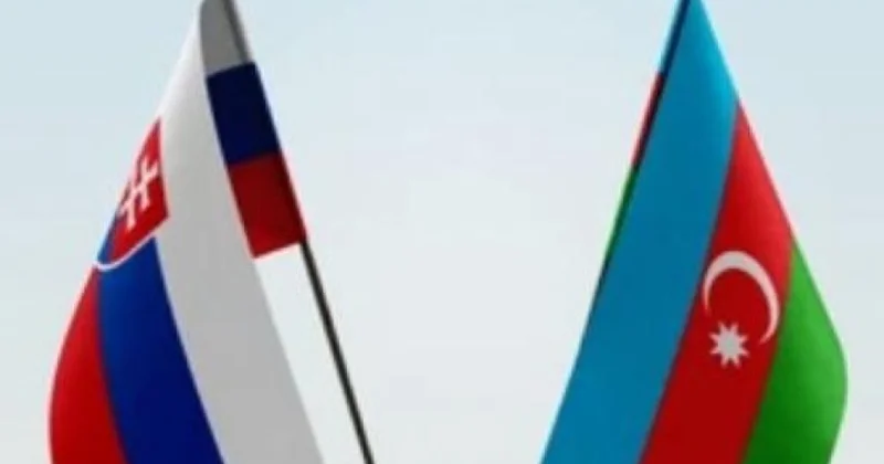 Slovakiya ilə məxfi məlumatın mübadiləsi və qarşılıqlı mühafizəsi həyata keçiriləcək