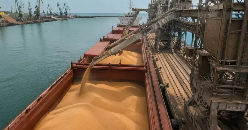 Экспортерам в Каспийском море не хватает флота