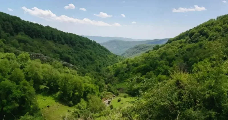 Qırğızıstanda meşə sahəsi 500 min hektardan çox artıb