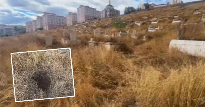 Qarsda dəhşətli cinayət: Yenidoğulan körpəni ağzına salfet qoyaraq ÖLDÜRDÜLƏR