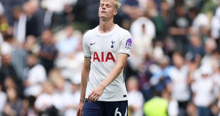 Tottenhem in müdafiəçisi Niderland millisində zədələndi