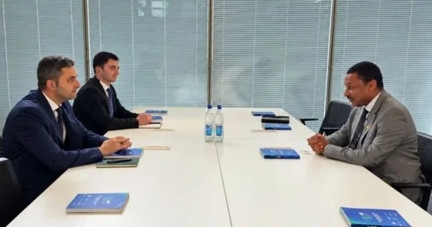 SOCAR Green in layihələri sığortalana bilər