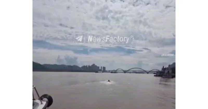 В Китае создали умный спасательный круг ВИДЕО