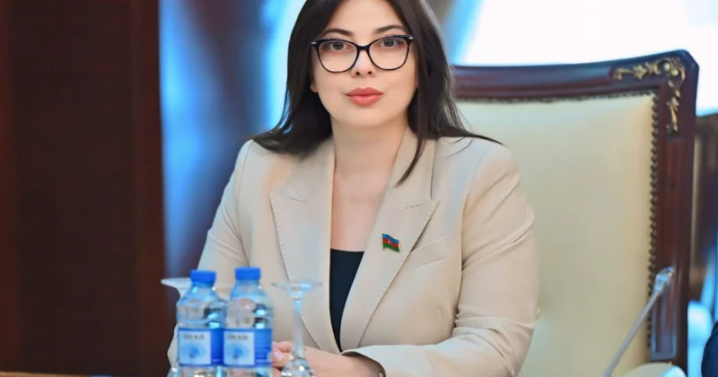 “ADEX 2026”: Azərbaycanın hərbi sənaye potensialının dünyaya təqdimatı ŞƏRH