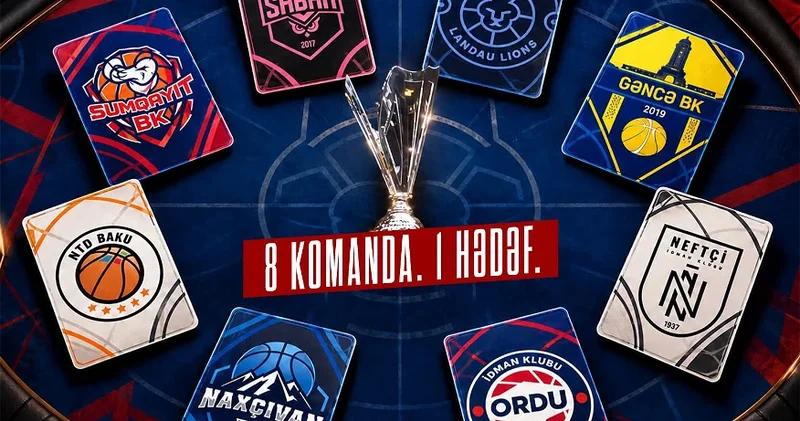 Совы против львов. Кто выиграет?